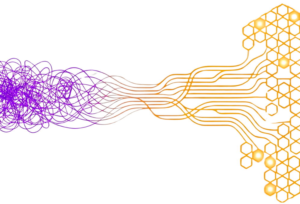 Vom Knoten zur integrierten Systemstruktur – nach 12–18 Monaten